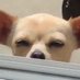 Videos Random (@unexpectedtw) Twitter profile photo Videos Random (@unexpectedtw) Twitter profile photo