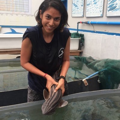 Shark and ray fisheries | PhD candidate in the Integrated Fisheries Lab @DalhousieU | she/her 🇮🇳🇨🇦