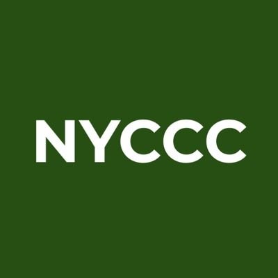 Official Twitter Account of the NYCCC - a youth consultation program developed by @y4cofficial Delegates who represented Nigeria - @P_JoyEgbe @azeezt_abubakar