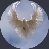 Freeman (@haikeaone1) 's Twitter Profile Photo Freeman (@haikeaone1) 's Twitter Profile Photo