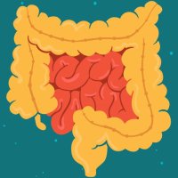 ibd_ce (@ibd_ce) 's Twitter Profile