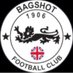 Bagshot FC (@BagshotFC) Twitter profile photo