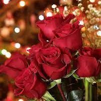 GcKOqLqR45sDPpY's profile picture. 