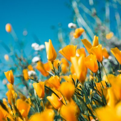 Harmonyforall94's profile picture. Dancing is kind of my thing.