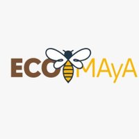 Proyecto ECOMAyA(@EcomayaProyecto) 's Twitter Profile Photo