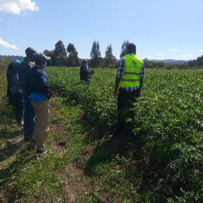 A trained professional in plant science and crop protection. An associate researcher in biocontrol of pests and diseases of food crops in sub Saharan Africa.