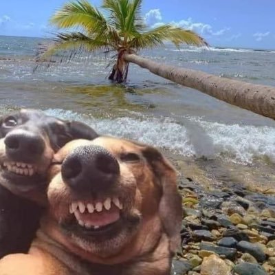 Carlos18777145's profile picture. 