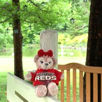 びおれった (@gmailyumiyumi47) Twitter profile photo