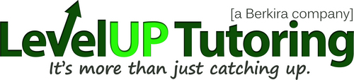 LevelUpLearning's profile picture. We teach strategies that turn students into independent learners.