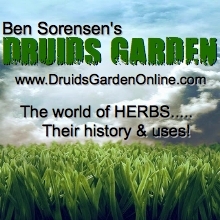 Druids_Garden's profile picture. Popular print column by Ben Sorensen with read by over 1.26 Million on HERBS their history & uses. Follow and DM us for herbal & eco tips! /|\