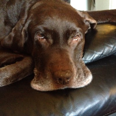 Conquer68604827's profile picture. 