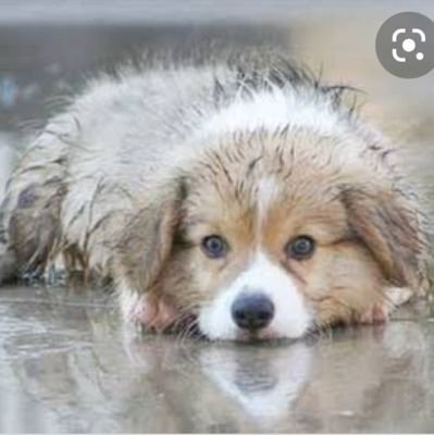 pcpp69236694's profile picture. เดินได้