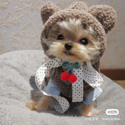 CFOS00's profile picture. 