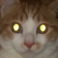 405 (@55fxkai25fx) Twitter profile photo