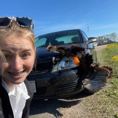 BachausKylie's profile picture. 