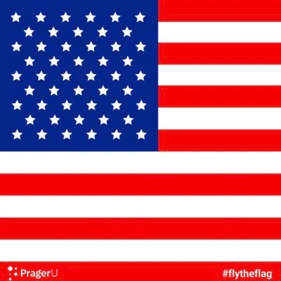 LibertyLabrador's profile picture. Freedom.