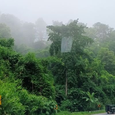 pDASzkjhf4svLRU's profile picture. 