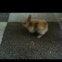 Laura Noakes - @leajessie - Twitter