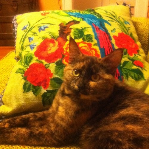 jackharoldlink's profile picture. 