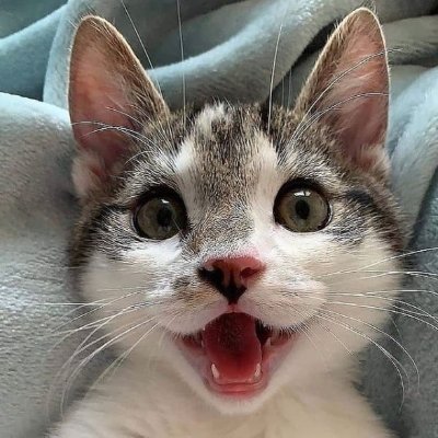 Riolu_xxx's profile picture. 