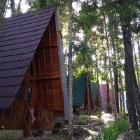 LovelySenja (@deeants) 's Twitter Profile Photo