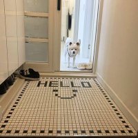 JUNHO SEO (@junhoseo8) 's Twitter Profile Photo