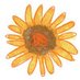 Toni Louisa (@tonilouisa1) Twitter profile photo Toni Louisa (@tonilouisa1) Twitter profile photo