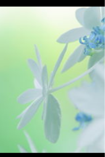 hiromi8943's profile picture. 