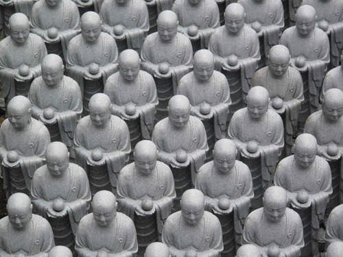 doc_in_pat's profile picture. 