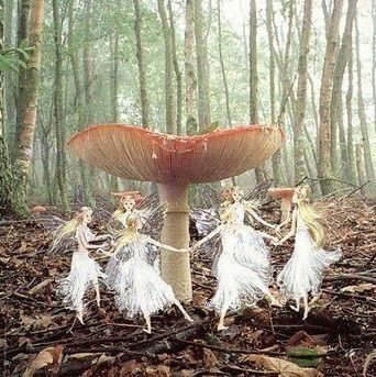 oichaeyoung's profile picture. hey there! this is j