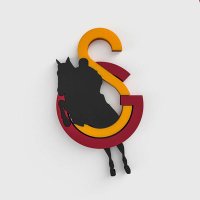 GS Binicilik (@gsbinicilik) Twitter profile photo