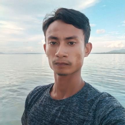 ArdianAnsar's profile picture. Penjelajah