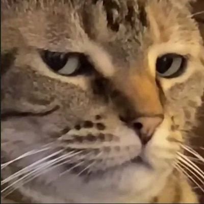 yuthi_why's profile picture. 