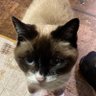 yoko82620911's profile picture. なんか好きな事して生きてます。適当な事呟いてます。