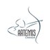 Artemis Canada (@Artemis_Canada) Twitter profile photo