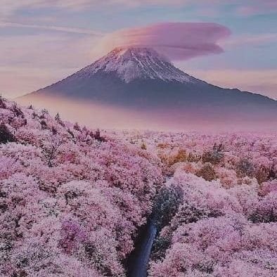 tiana_robotina's profile picture. 