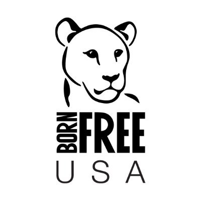 #KeepWildlifeInTheWild • Born Free USA works to stop individual wildlife suffering & protect threatened species in the wild • Follow @BornFreeFDN & @WillTravers