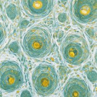 David Clouthier (@clouthierlab) 's Twitter Profile