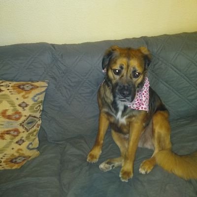 Love My Lil Girl Sable Ann