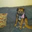 Wendy Jo Lockwood - @WendyJoLockwoo1 - Twitter