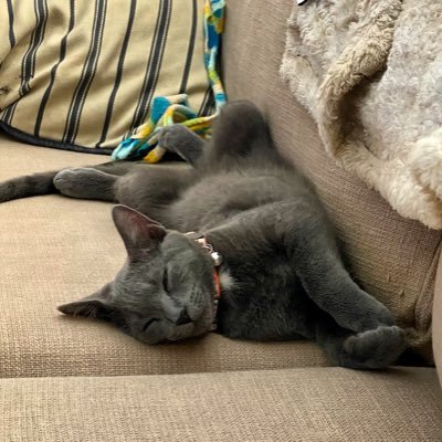 mklinger421's profile picture. https://t.co/WizLaMjcoA