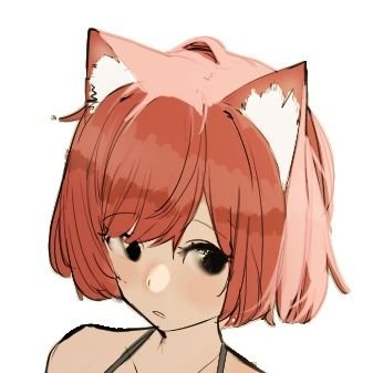 プョミー🌗さんのプロフィール画像