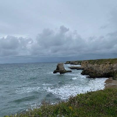 VintonElena's profile picture. 