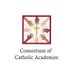 ConsortiumCatholicAcademies (@consortiumdc) Twitter profile photo ConsortiumCatholicAcademies (@consortiumdc) Twitter profile photo