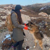 Sara Cheema (@saracheema13) 's Twitter Profile