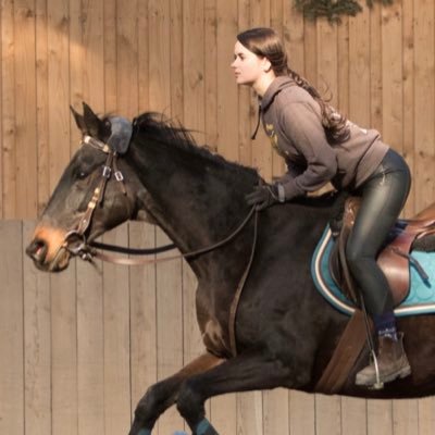 RueggNoemi's profile picture. Marine biologist to be. Equestrian.
IMBRSea student