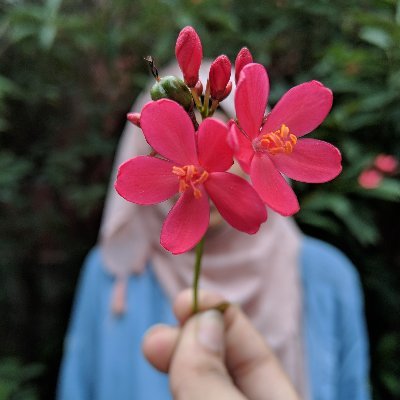 the_noorfatima's profile picture. Photographer || Researcher || AMU 🇮🇳
Alhamdulillah For Everything 🌸💙