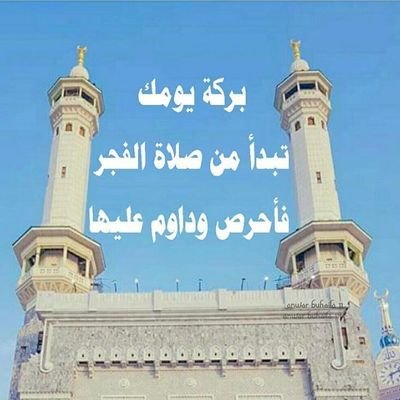 IballIbrahim's profile picture. 