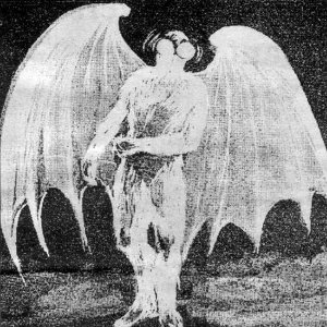 entomothology's profile picture. twitter user