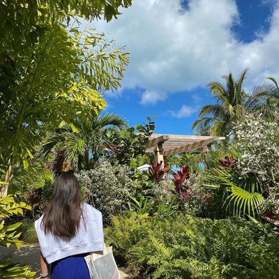 HETNII's profile picture. 